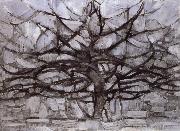 Piet Mondrian Grey tree oil painting picture wholesale